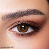 BELLA ONE DAY COLLECTION COLOR CONTACT LENS - ALMOND BROWN (10 LENS/BOX)