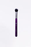 Glamstrokes 32 Pcs Budget friendly Brush Set (Black)